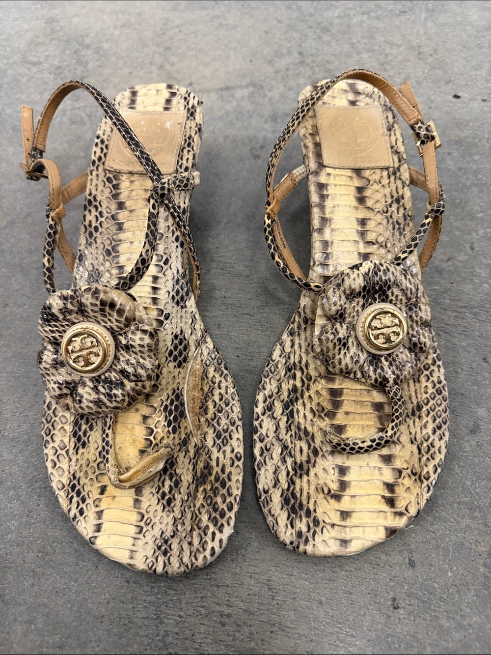 Tory Burch Snake-Print Floral Toe-Loop Sandals in Beige and Black